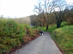 DSCN1770 DSCN1770