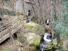 DSCN0121 DSCN0121