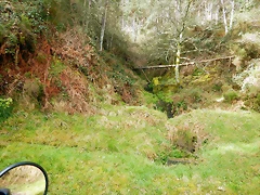 DSCN9011 DSCN9011