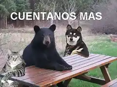 cuentanos_mas_6