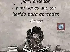 Sin herir aprendemos