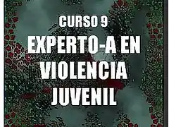 Violencia 6