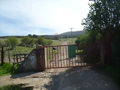 P1030221
