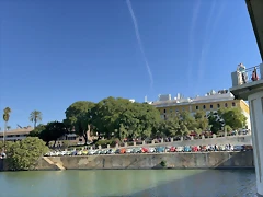 IMG_9796
