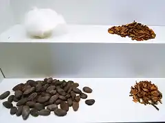 Lana de vicu?a. Quina. Cacao. Ratania