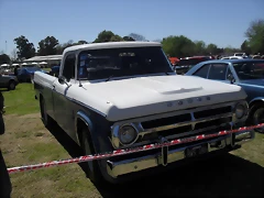 SDC13609 SDC13609