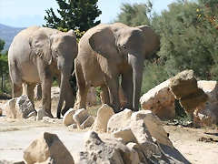 Zoo Lunaret + Sigean 18 i 19-09-10 1850 Zoo Lunaret + Sigean 18 i 19-09-10 1850