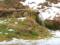 29-IMG_4714