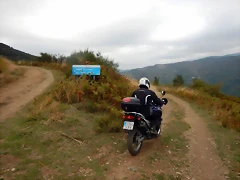 DSCN9973 DSCN9973