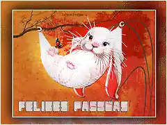 Pascua2