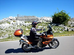 DSCN2643 DSCN2643