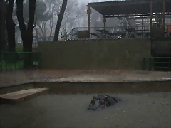 Zoo de Barcelona 15-03-11 030