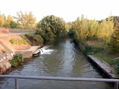 DSCN9558 DSCN9558