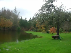 DSCN4719 DSCN4719