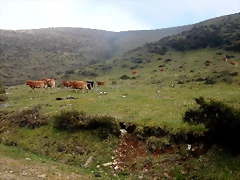 DSCN8148 DSCN8148