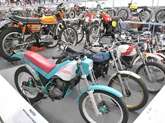 IMG_1582 IMG_1582