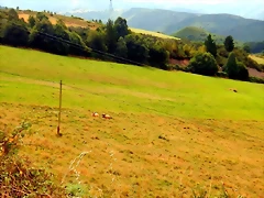 DSCN6614 DSCN6614