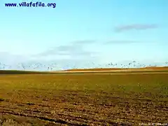 Ansares en la Reserva de Villaffila