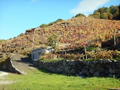 DSCN9770