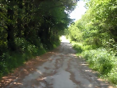 DSCN5391
