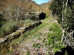 DSCN9082 DSCN9082