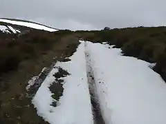 Camino circular Alto Manzaneda (3)