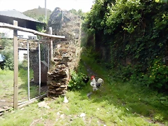 DSCN1202 DSCN1202
