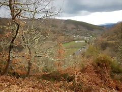DSCN9455