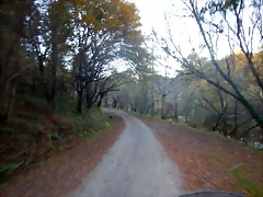 DSCN8976 DSCN8976