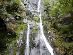 DSCN8711 DSCN8711