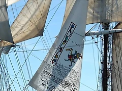 IMG_2527 (Copier) IMG_2527 (Copier)