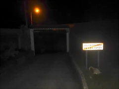 DSCN0373 DSCN0373