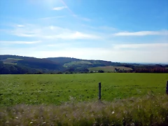 DSCN2400 DSCN2400