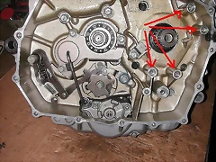 motor motor