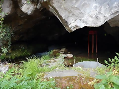 DSCN9140 DSCN9140