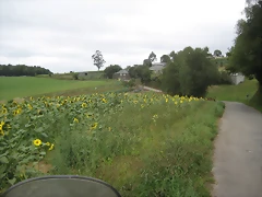 IMG_0261 IMG_0261