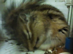 2011-04-13 21.54.30