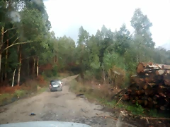 DSCN3254 DSCN3254