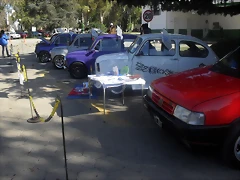 SDC12489 SDC12489
