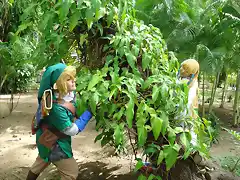 zelda03