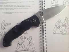 spy22