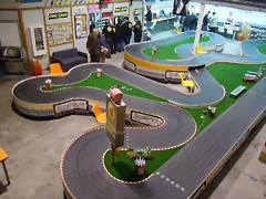 DSCN9134
