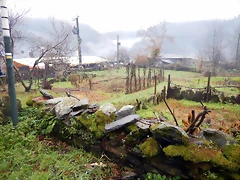 DSCN0322 DSCN0322