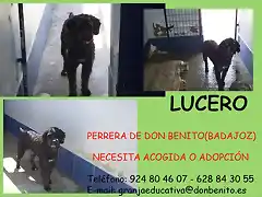 LUCERO Badajoz