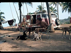 Volkswagen_Bully-03