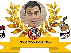 TONTO DEL TO