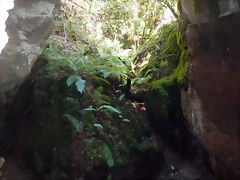 DSCN4225