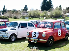 CAS_3771 CAS_3771