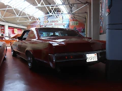 P7250503 P7250503
