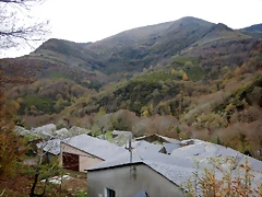 DSCN2920 DSCN2920